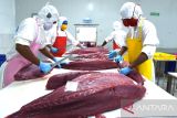 Pos tarif ekspor nol persen produk perikanan tuna disepakati RI-Jepang