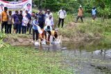 Pj Gubernur Sulsel tebar 20 ribu bibit Ikan Nila di desa Mario Bone