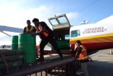 Pertimbangan gangguan keamanan, Pertamina hentikan sementara penyaluran BBM ke Papua Tengah