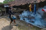 Warga melakukan fogging atau pengasapan di Perning, Jatikalen, Nganjuk, Jawa Timur, Minggu (14/1/2024). Pengasapan yang dilakukan oleh Karang Taruna setempat secara mandiri itu sebagai upaya pencegahan penyebaran wabah demam berdarah dengue DBD saat perubahan iklim yang berdasarkan data Kementerian Kesehatan (Kemenkes) sejak Januari hingga November 2023 tercatat ada 76.449 kasus DBD dengan 571 kasus kematian. ANTARA Jatim/Muhammad Mada.