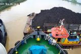 Tongkang  pengangkut batu bara tabrak Pelabuhan Pelindo di Sungai Batanghari