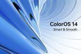 Bedah ColorOS 14 yang jadi sistem andalan seri Oppo Reno11