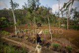 Dinas Pertanian NTT imbau petani harus mulai menanam