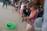 Kelompok konservasi penyu bersama pengunjung  melepasliarkan tukik atau anak penyu belimbing (Dermochelys Coriacea)  di pantai wisata Lampuuk, kabupaten Aceh Besar, Aceh, Selasa (16/1/2024). Pelepasan sebanyak 69 tukik belimbing  (Dermochelys Coriacea) yang melibatkan pengunjung beserta anak anak sebagai  edukasi lingkungan itu merupakan yang pertama tahun 2024. ANTARA FOTO/Ampelsa.
