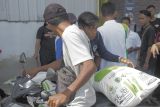 Tambahan subsidi pupuk tingkatkan pendapatan petani Indonesia