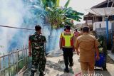 OKU Selatan cegah penyebaran DBD dengan fogging