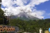 PVMBG catat Gunung Merapi luncurkan empat kali awan panas selama sepekan