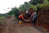 Longsor terjang sejumlah wilayah di Kabupaten Sukabumi