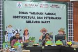 Dinas TPHP Sulbar bersama BI akselerasi program pengendalian inflasi