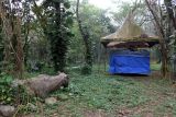 Pengunjung memberi makan seekor rusa di kebun binatang Medan Zoo, Sumatera Utara, Sabtu (20/1/2024). Wali Kota Medan Bobby Nasution akan menutup sementara Medan Zoo untuk pembangunan.ANTARA FOTO/Yudi/