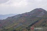 Pengunjung menikmati pemandangan lahan pertanian terasering di objek wisata Lembah Panyaweuyan, Argapura, Majalengka, Jawa Barat, Minggu (21/1/2024). Lembah Panyaweuyan menjadi salah satu destinasi wisata andalan di Majalengka dengan menyuguhkan keindahan lahan pertanian terasering yang berada di lembah Gunung Ciremai. ANTARA FOTO/Dedhez Anggara/agr