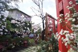 Kota Batu Jatim tambah desa tematik Kampung Sakura