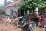 Sebanyak 564 keluarga terdampak banjir di Tojo Una-una
