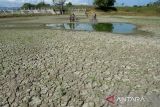 Murid sekolah bermain di lokasi Embung Seunekak yang mengalami kekeringan di kabupaten Aceh Besar, Aceh,  Rabu (24/1/2024).  Embung Seunekak yang mengalami kekeringan dampak Elnino di daerah itu mengakibatkan  sekitar 100 hektare sawah yang ditanami padi pada musim tanam tahun 2024 kekeringan dan terancam puso. ANTARA FOTO/Ampelsa.