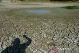 Seorang warga berada  di lokasi Embung Seunekak yang mengalami kekeringan di kabupaten Aceh Besar, Aceh,  Rabu (24/1/2024).  Embung Seunekak yang mengalami kekeringan dampak Elnino di daerah itu mengakibatkan  sekitar 100 hektare sawah yang ditanami padi pada musim tanam tahun 2024 kekeringan dan terancam puso. ANTARA FOTO/Ampelsa.