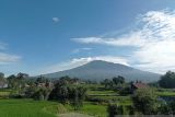 Petani lereng Marapi berharap bantuan pemerintah