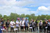 Mahasiswa Unila dan komunitas Bandar Agung Bersatu tanam 200 mangrove di Sragi