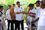 Menteri Koordinator Bidang Perekonomian Airlangga Hartarto (tengah) didampingi Bupati Deli Serdang Ali Yusuf Siregar (ketiga kiri) menyerahkan bantuan kepada petani sawit saat temu wicara di Desa Sialang, Kabupaten Deli Serdang, Sumatera Utara, Jumat (26/1/2024). Dalam kunjungan tersebut Menko Perekonomian memberikan bantuan dana peremajaan sawit  sebesar Rp30 juta per hektare kepada penerima bantuan melaui koperasi produsen petani sawit yang ada di wilayah Deli Serdang.ANTARA FOTO/Yudi/