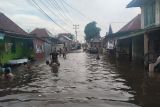 Kota Palembang data warga terdampak banjir luapan Sungai Musi