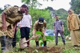 Pj Gubernur Sulsel kembali tanam sukun di TN Bantimurung Maros