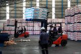 Pekerja melakukan bongkar muat gula kristal putih (GKP) di gudang penyimpanan milik PG. Rejoso Manis Indo, Blitar, Jawa Timur, Selasa (30/1/2024). Badan Pangan Nasional (BAPPANAS)/National Food Agency (NFA) menetapkan besaran stok pangan untuk GKP konsumsi yang harus dimiliki pemerintah sampai akhir tahun 2024, yakni minimal sebanyak 250 ribu ton dengan stok akhir tahun minimal 25 ribu ton. Antara Jatim/Irfan Anshori.