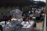 Sejumlah pekerja melakukan bongkar muat beras asal Thailand di Pelabuhan Ujung Baru, Medan Belawan, Medan, Sumatera Utara, Selasa (30/1/2024). Perum Bulog Sumatera Utara menerima sebanyak 12.500 ton beras yang akan dibagikan kepada keluarga penerima manfaat (KPM) selama tahun 2024.ANTARA FOTO/Yudi