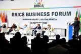 Menlu Rusia sebut BRICS tidak ciptakan 'kediktatoran baru mayoritas dunia'
