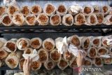 Pekerja menunjukkan jamur tiram di rumah Mushroom House Medan, Sumatera Utara, Rabu (31/1/2024). Budi daya jamur tiram yang ditanam pada bahan limbah kayu tersebut dijual dengan harga Rp22.000 ribu per kilogram. ANTARA FOTO/Yudi