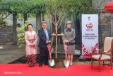 Putri Takamado menanam pohon sakura di Wisma Duta Tokyo