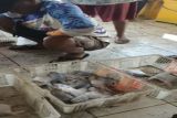 DKP Kulon Progo mengingatkan nelayan kelola hasil penjualan dengan baik