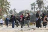 Mesir serukan gencatan senjata dan batas waktu bagi negara Palestina