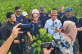 PWI Kepri tanam 50 ribu bibit mangrove sambut HPN 2024