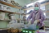 Menperin: Nilai ekspor obat-obatan Indonesia pada 2023 naik 8,78 persen