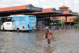 Penumpang menerobos banjir setibanya di kawasan Terminal Purabaya, Bungurasih, Sidoarjo, Selasa (6/2/2024). Banjir yang menggenangi kawasan Terminal Purabaya, Bungurasih sekitar 20-50 sentimeter tersebut diduga karena buruknya drainase seiring dengan tingginya intensitas hujan yang terjadi pada Senin (5/2/2024). Antara Jatim/Moch Asim.