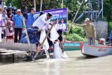 Penjabat Gubernur Sulsel tebar jutaan benih ikan di Danau Tempe