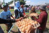 Warga menerima telur saat pembagian telur dan ayam gratis di Desa Deyeng, Kediri, Jawa Timur, Kamis (8/2/2024). Pembagian sebanyak 6 ton telur dan 2 ribu ekor ayam oleh komunitas peternak ayam petelur tradisional dan supplier dari Kediri dan Blitar tersebut guna menggalang dukungan untuk kemenangan calon presiden nomor urut 2 Prabowo-Gibran pada Pemilu 2024 sekaligus menyalurkan aspirasi terkait solusi rendahnya harga jual telur dan daging ayam. Antara Jatim/Prasetia Fauzani.
