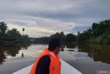 Menikmati wisata susur Sungai Klias Wetland Sabah