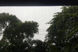 BMKG ingatkan warga dampak hujan deras di NTT