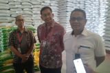 Bulog pastikan ketersediaan beras di Provinsi Sulteng aman hingga empat bulan
