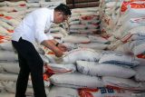 Penjabat (Pj) Gubernur Jawa Timur Adhy Karyono memeriksa kualitas beras saat meninjau Gudang Bulog Divre Jatim, Buduran, Sidoarjo, Jawa Timur, Sabtu (17/2/2024). Stok beras untuk kebutuhan masyarakat di Jawa Timur selama tiga bulan mendatang tercatat dalam kondisi aman sekitar 135 ribu ton. Antara Jatim/Umarul Faruq.