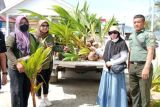 Pemprov Sulbar bantu bibit kelapa genjah bagi petani Mamuju