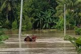 BPBD sebut banjir di OKU dampak cuaca ekstrem