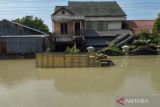 Diperpanjang 14 hari, masa tanggap darurat banjir Demak-Kudus, Jateng, sebut BNPB