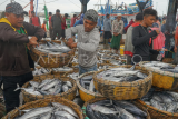 Peningkatan ekspor ikan tuna-cakalang-tongkol