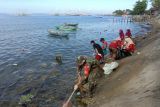 DLHK Polewali Mandar menggelar aksi bersih sampah di pesisir pantai