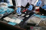 BNNP Jateng musnahkan barang bukti 4,6 kilogram ganja