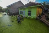 Seorang warga berjalan di depan rumahnya yang terendam banjir di Desa Sungai Bungur, Muaro Jambi, Jambi, Selasa (20/2/2024). Banjir yang menggenangi ratusan rumah akibat meluapnya Sungai Batanghari yang telah berlangsung lebih dari delapan minggu tersebut menghambat aktivitas warga serta peniadaan kegiatan sekolah secara tatap muka tersebut. ANTARA FOTO/Wahdi Septiawan/wpa.