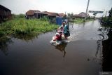 Warga melintasi banjir yang menggenangi Desa Kedungbanteng, Tanggulangin, Sidoarjo, Jawa Timur, Minggu (18/2/2024). Curah hujan tinggi dan daya tampung sungai yang belum maksimal serta drainase yang buruk mengakibatkan air menggenangi ruas jalan dan pemukiman membuat warga kesulitan beraktivitas. Antara Jatim/Umarul Faruq.