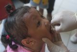 Tenaga kesehatan meneteskan vaksin polio pada seorang anak dalam pelaksanaan Sub Pekan Imunisasi Nasional (PIN) polio tahap kedua di kantor kelurahan Mojolangu, Malang, Jawa Timur, Senin (19/2/2024). Pelaksanaan Sub PIN polio tahap kedua tersebut menyasar 100.380 anak di kota Malang yang sebelumnya sudah menerima imunisasi polio tahap pertama dalam program penuntasan penanganan Kejadian Luar Biasa (KLB) polio di provinsi Jawa Tengah, Jawa Timur dan DI Yogyakarta. Antara Jatim/Ari Bowo Sucipto.