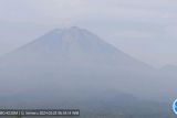 Gunung Semeru erupsi semburkan abu vulkanik setinggi 400  meter